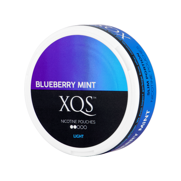 XQS Blueberry Mint Light sachets de nicotine